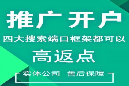 SEM外包助力品牌增长案例解析